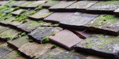Hawks Hill roof repair costs